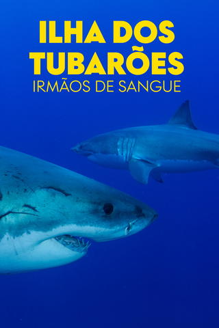 Ilha dos Tubarões: Irmãos de Sangue