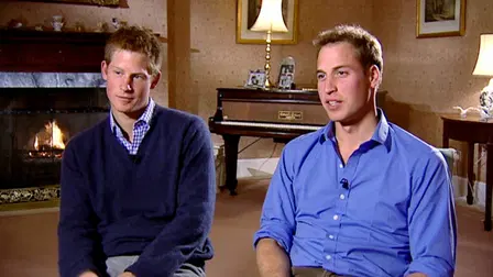 William and Harry: Brothers in Arms