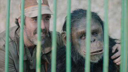 Year of The Monkey