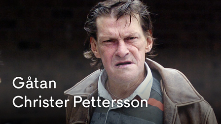 Gåtan Christer Pettersson