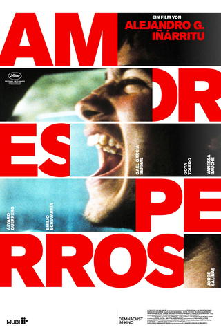 Amores Perros