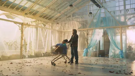 Koning van de zwervers