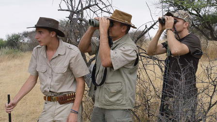 Safari