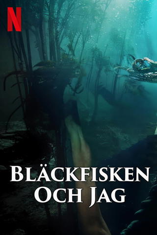 Bläckfisken och jag