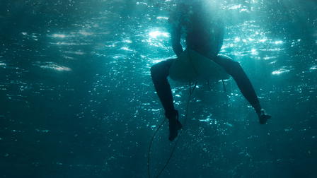 I Was Prey: Shark Week