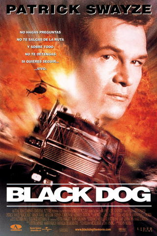 Black Dog