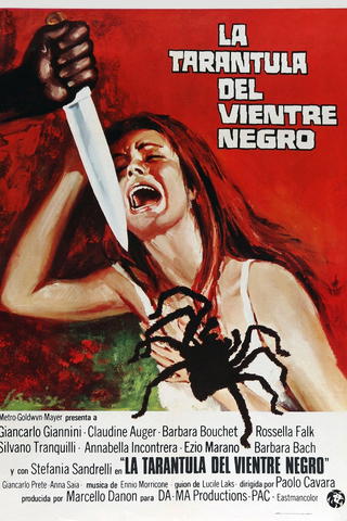La tarántula del vientre negro