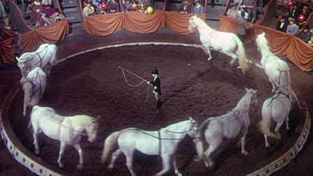 Le Poney rouge