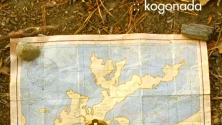 Wes Anderson // From Above