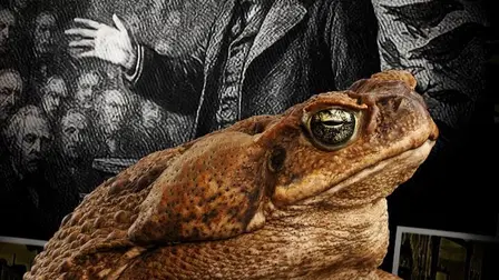 Vetenskapens värld: Evolution på speed