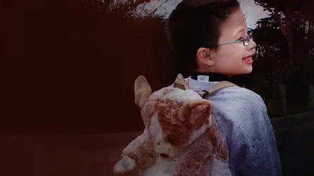 Il bambino perduto