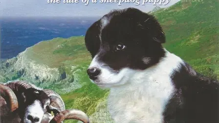 Mist: The Tale of a Sheepdog Puppy