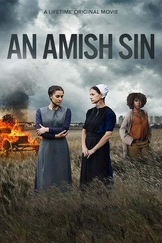 An Amish Sin