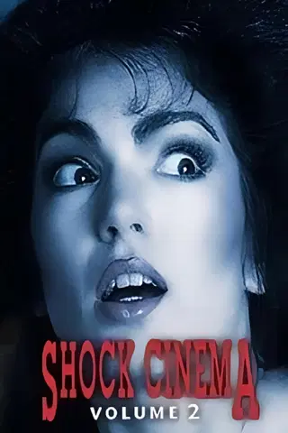 Shock Cinema Vol 2