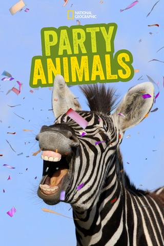 Party Animals