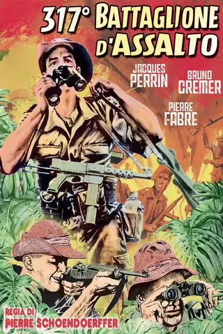 317 battaglione d'assalto