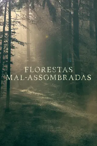 Florestas Mal-Assombradas