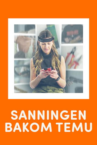 Sanningen bakom Temu