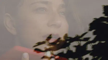 Sobre el colibrí