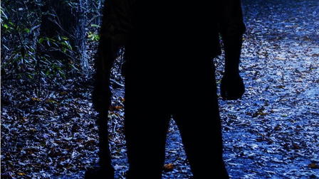 Arbor Day: The Root of Evil