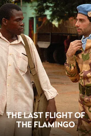 The Last Flight of the Flamingo