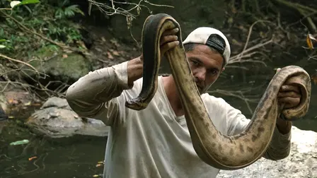 Perdido no Sudeste Asiático