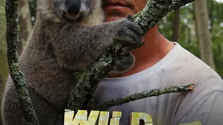 Wild Frank In Australia