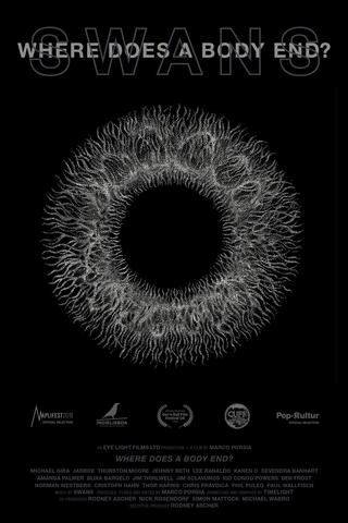 Swans: Where Does a Body End?