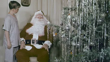 Magic Christmas Tree