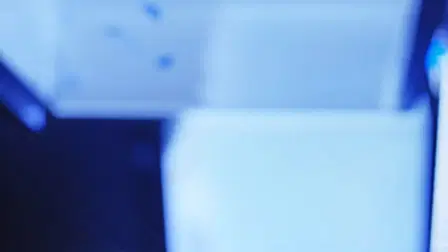 A Bride for Rip Van Winkle