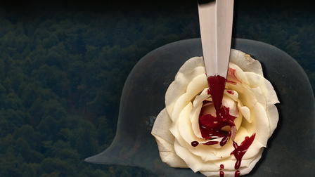 That Summer of White Roses