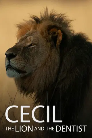 Cecil