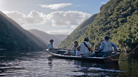 The Dinosaur Project