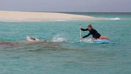 Mandíbulas Sangrentas