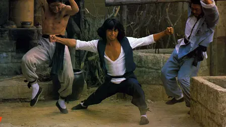 The Secret Shaolin Kung-Fu