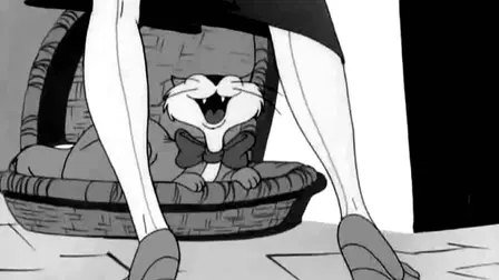 Le chat chatié