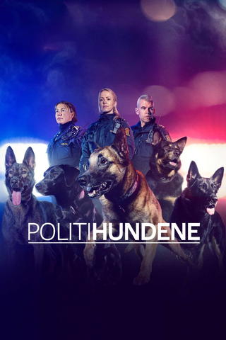 Norjan poliisikoirat