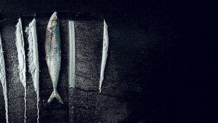 Turn of the Tide: The Surreal Story of Rabo de Peixe