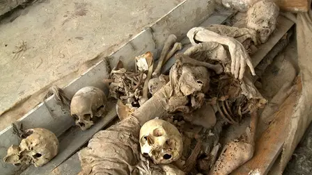 The Secret Mummies of Lisbon