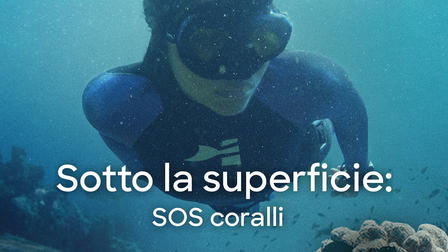 Sotto la superficie: SOS coralli