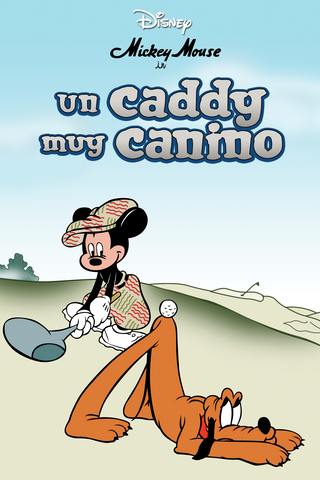 Un caddy canino