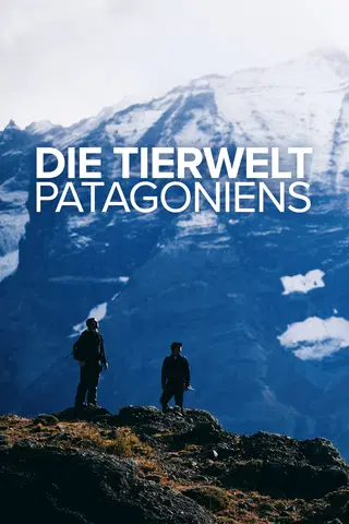 Die Tierwelt Patagoniens