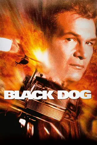 Black Dog