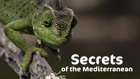 Geheimnisvolles Mittelmeer