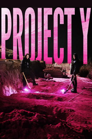 Project Y