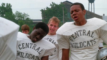 American Wildcats