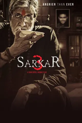 Sarkar 3 - Tödliche Geschäfte