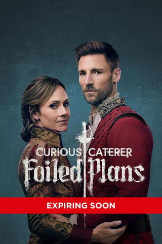 Curious Caterer: Foiled Plans
