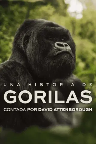 Una historia de gorilas contada por David Attenborough