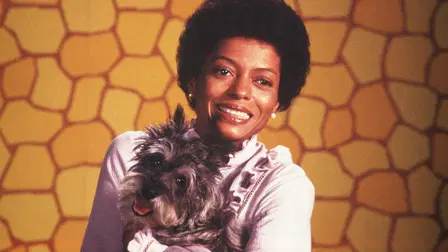 The Wiz